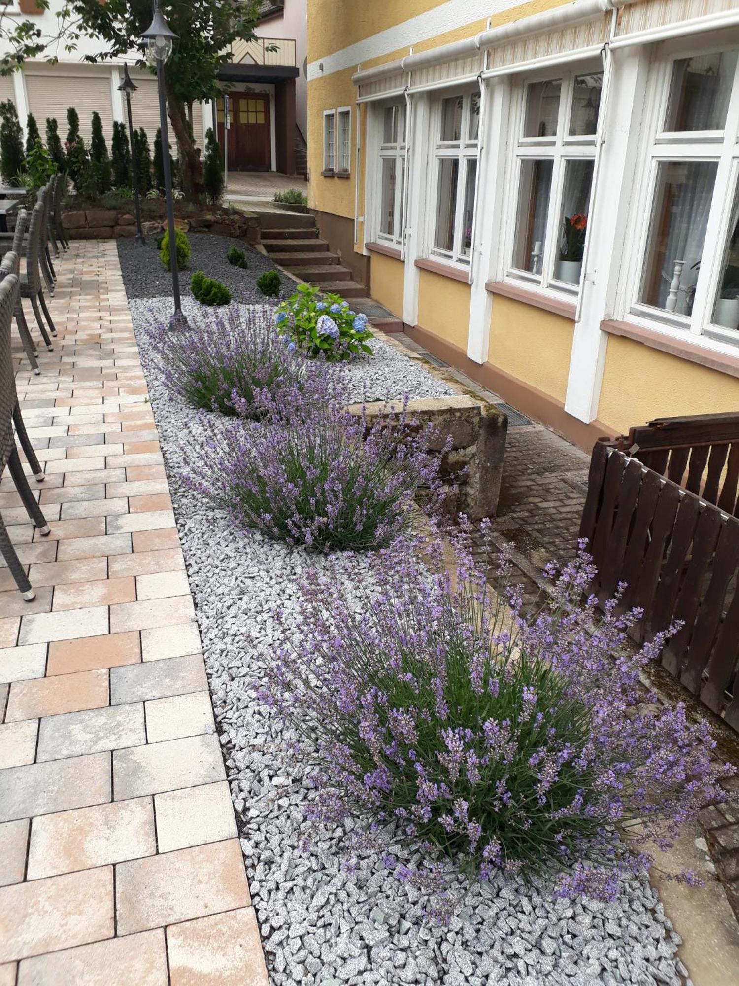 Hotel Eleon Bad Teinach-Zavelstein Eksteriør bilde